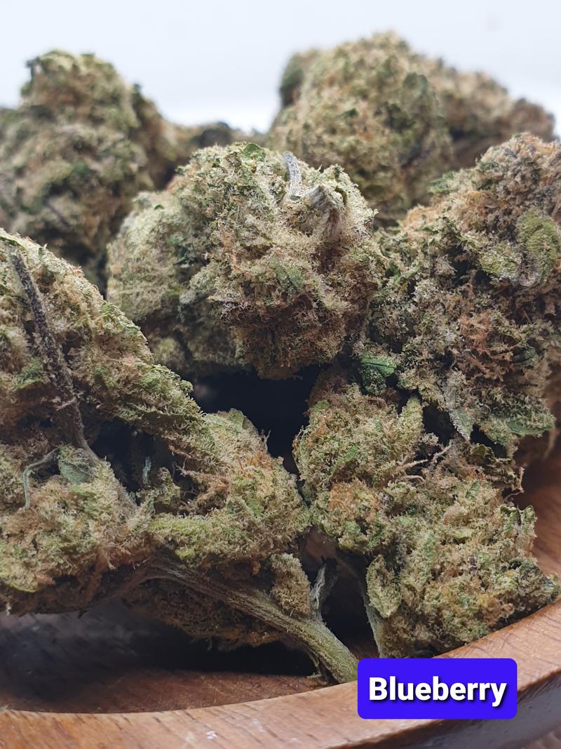 [Exclusive] Top Shelf Cali