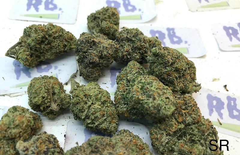 SPACE RUNTZ MID SHELF CALI