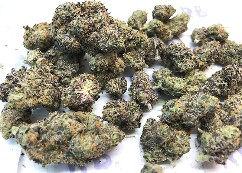 GSC GIRL SCOUT COOKIES MID SHELF CALI