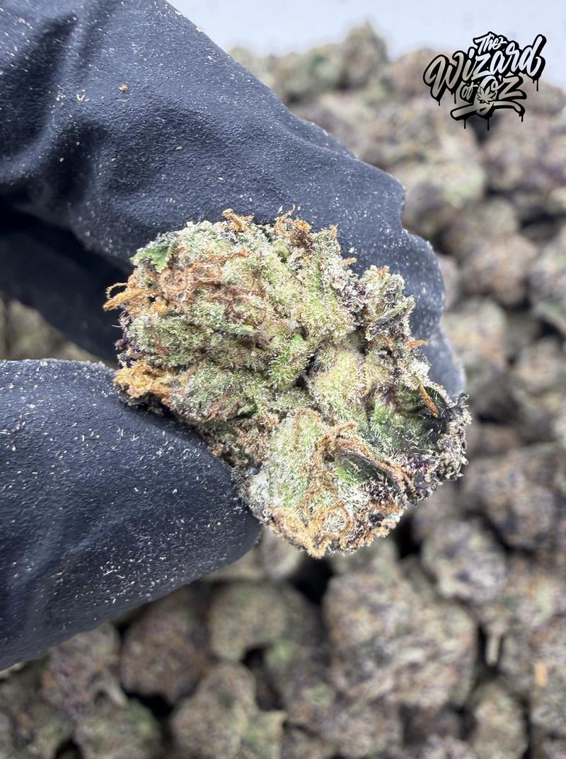 Dope Boyz Strain: Rainbow 41