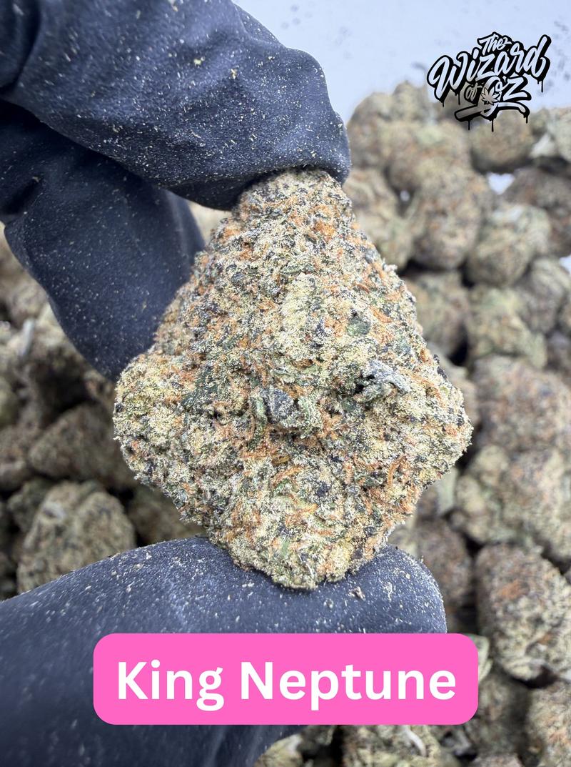 Teds Budz Strain: King Neptune