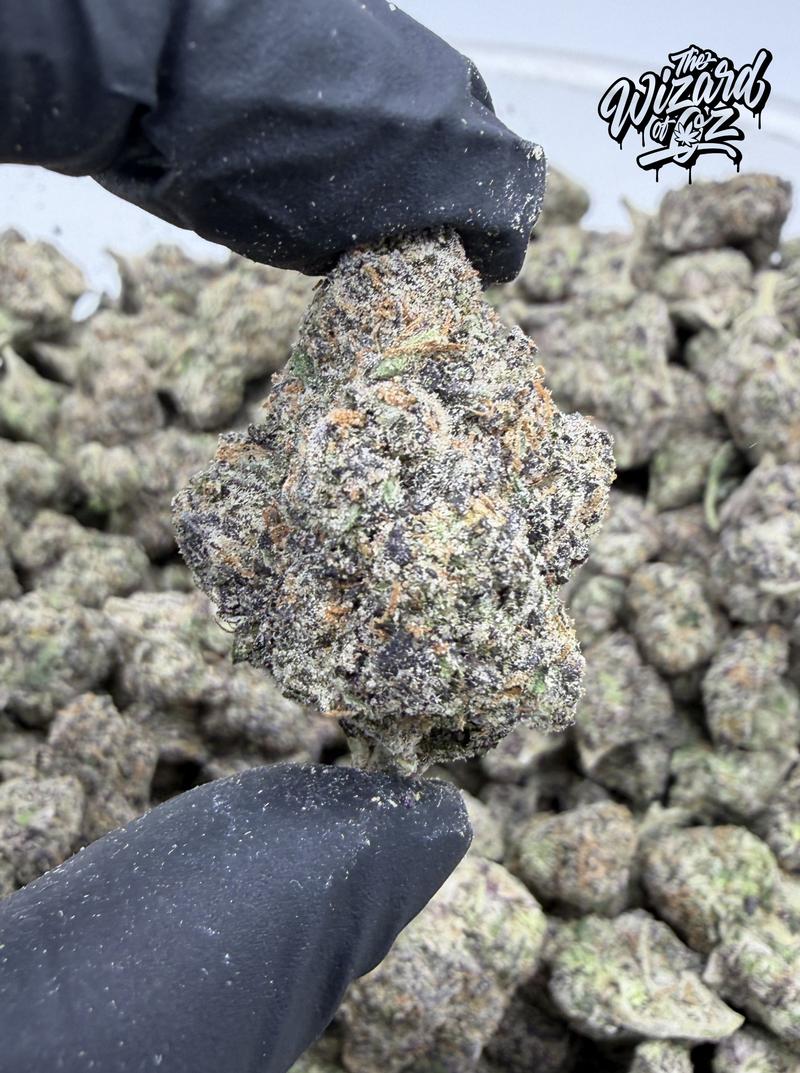 Jungle Boys Strain: Zamarelo