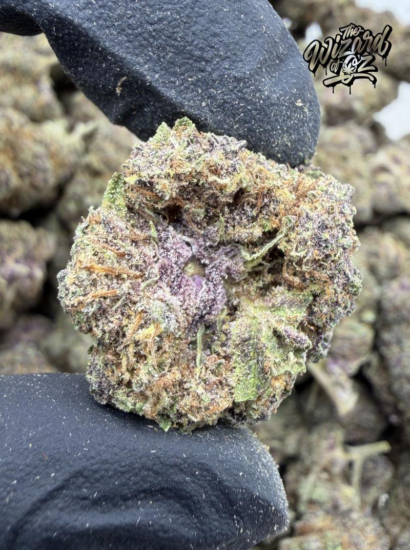 Tropicana x SuperBoof