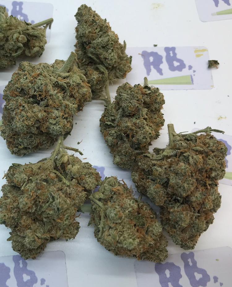 STAR DAWG IMPORT GRADE A+