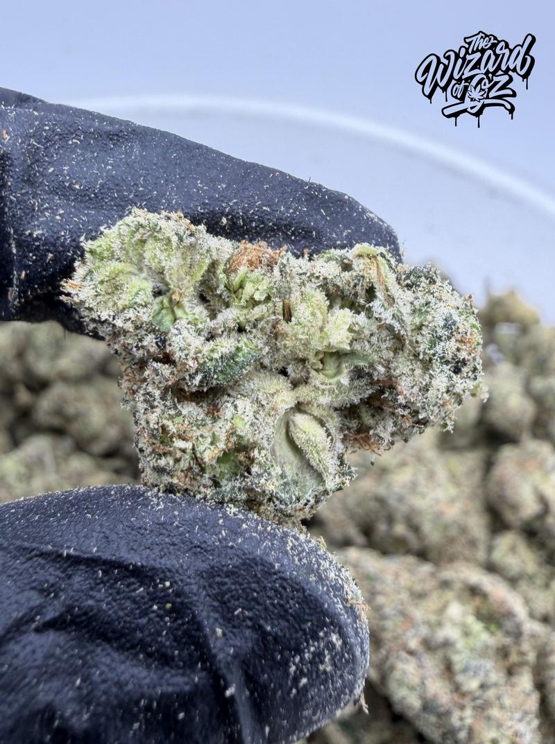 Peach Jolly Rancher #5