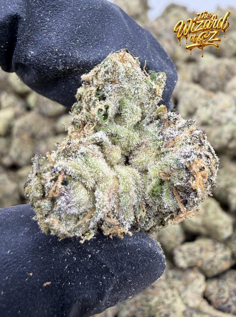 Versace x Lemon Cherry Gelato