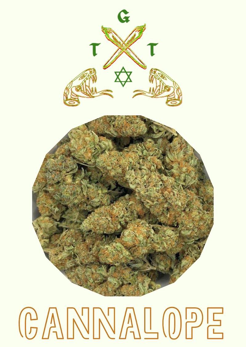 CANNALOPE *FREE SHIPPING*