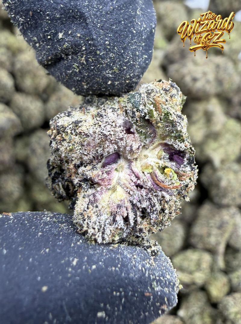 Teds Budz Strain: Hawaiian Jelly Roll