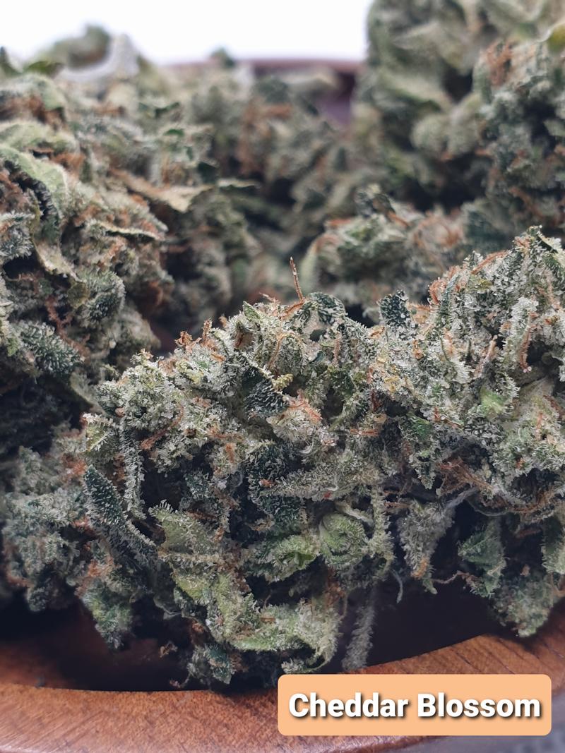 [Exclusive] Top Shelf UK