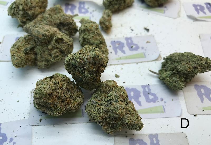 TROPIC DIESEL MID SHELF CALI