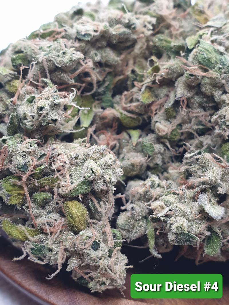 [Exclusive] Top Shelf UK