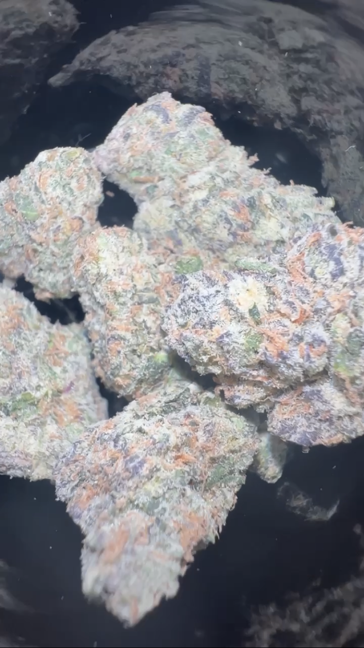 Sweet Retreat by Doja