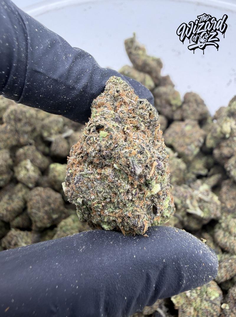 12 Alarm Fire Strain: Zrilla