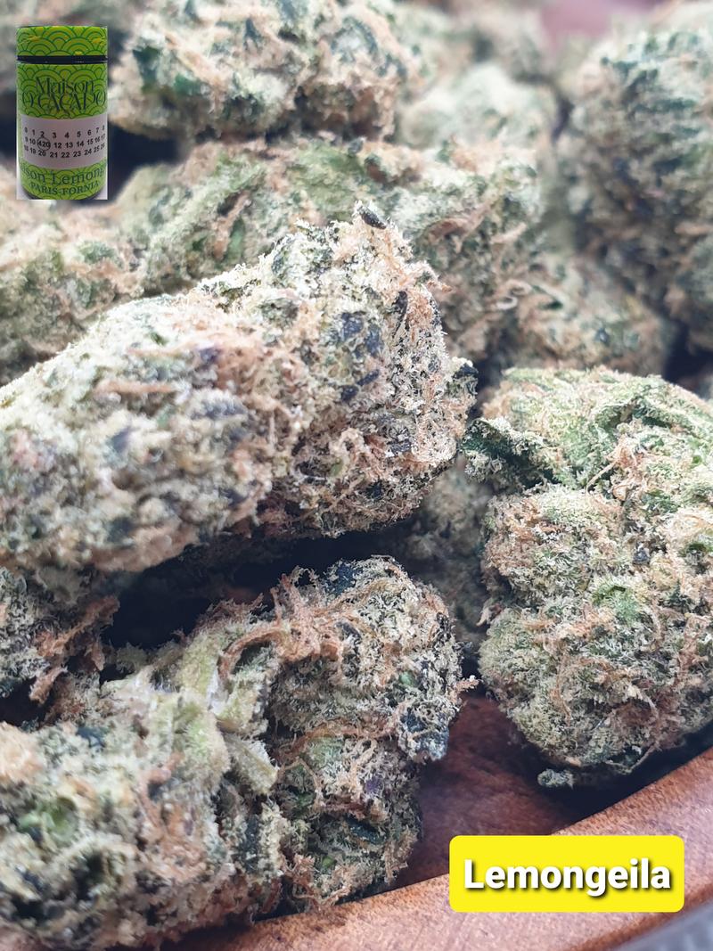 [Exclusive] Top Shelf Cali