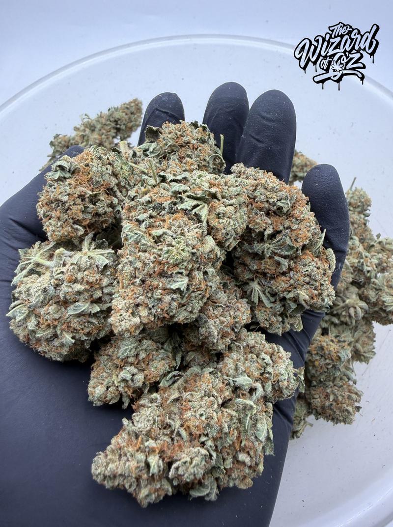 Star Dawg ⛽ 🌟