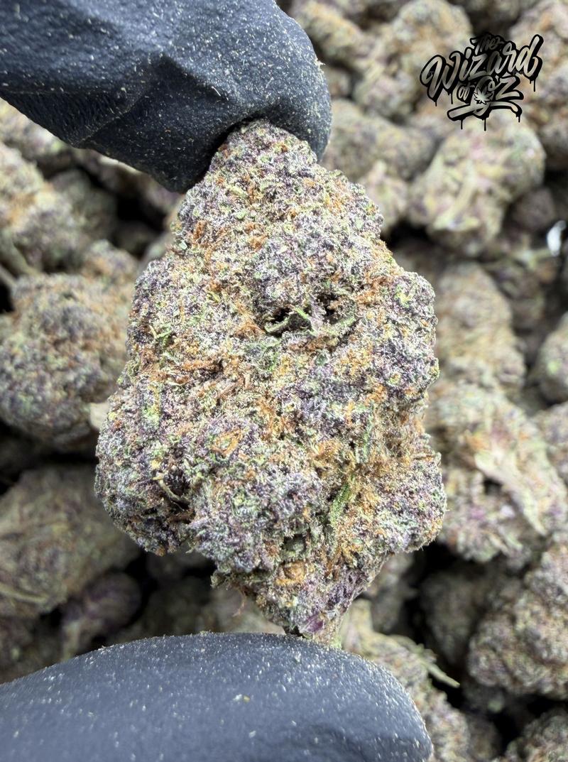 Tropicana x SuperBoof