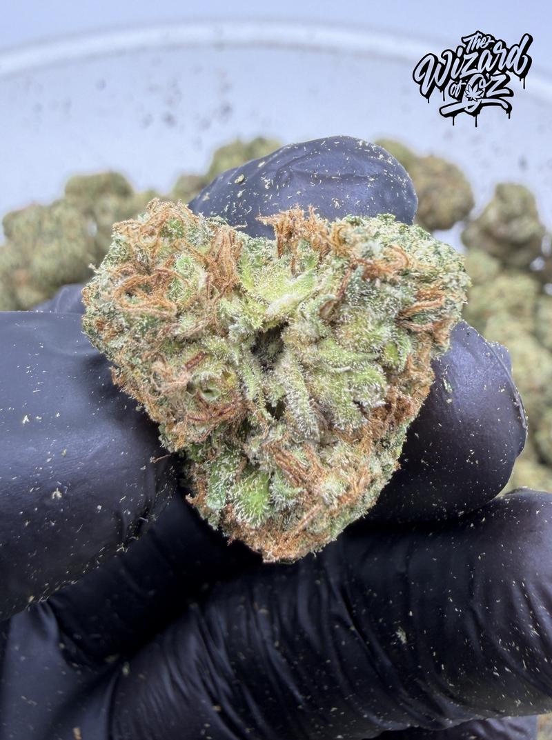 Teds Budz Strain: Tokyo Gumdrop