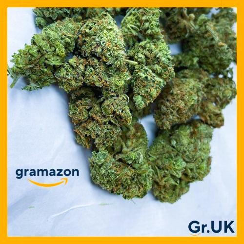 *LEMON TREE* 20% EXTRA - FREE SHIPPING