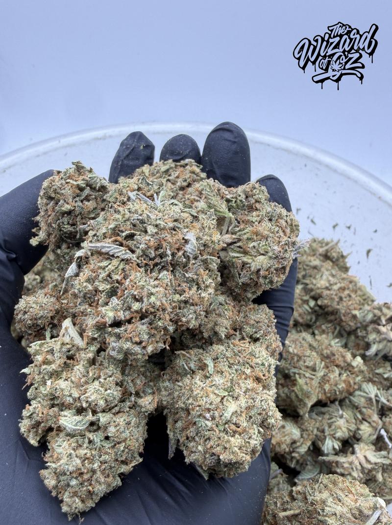 Star Dawg ⛽ 🌟