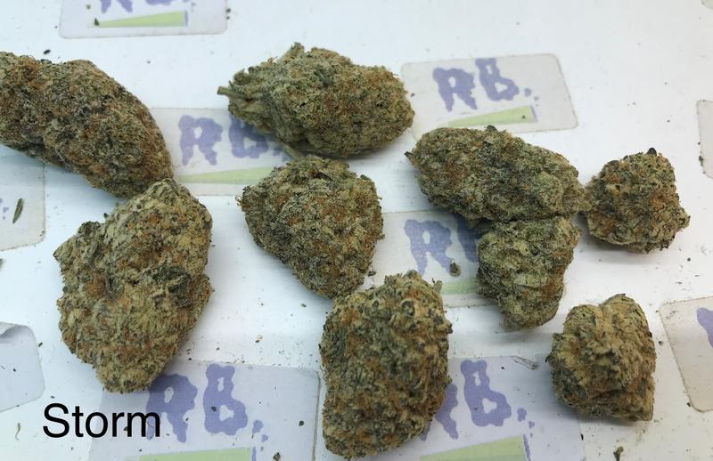 Tropical Storm Mid Shelf Cali