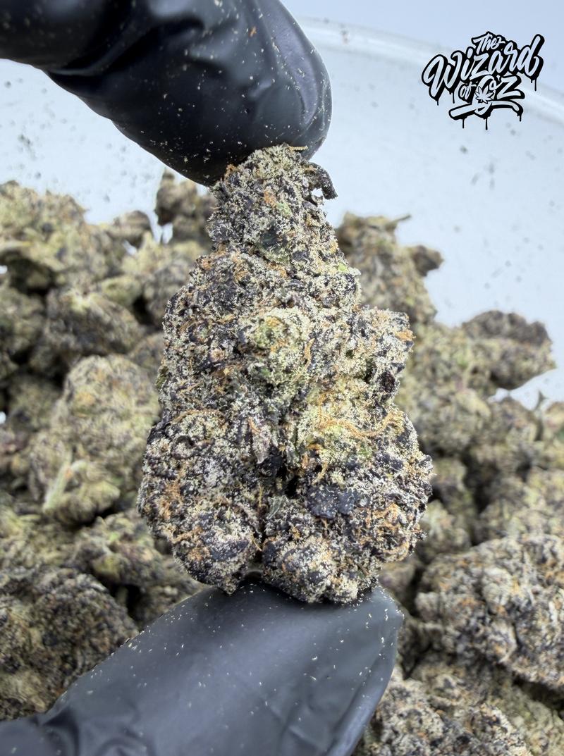 Wizard Trees Strain: Zangbanger