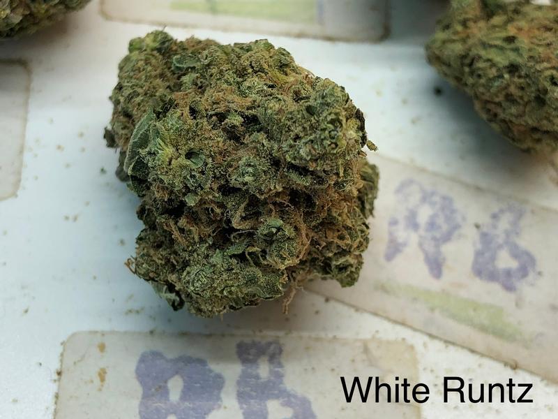 White Runtz UK