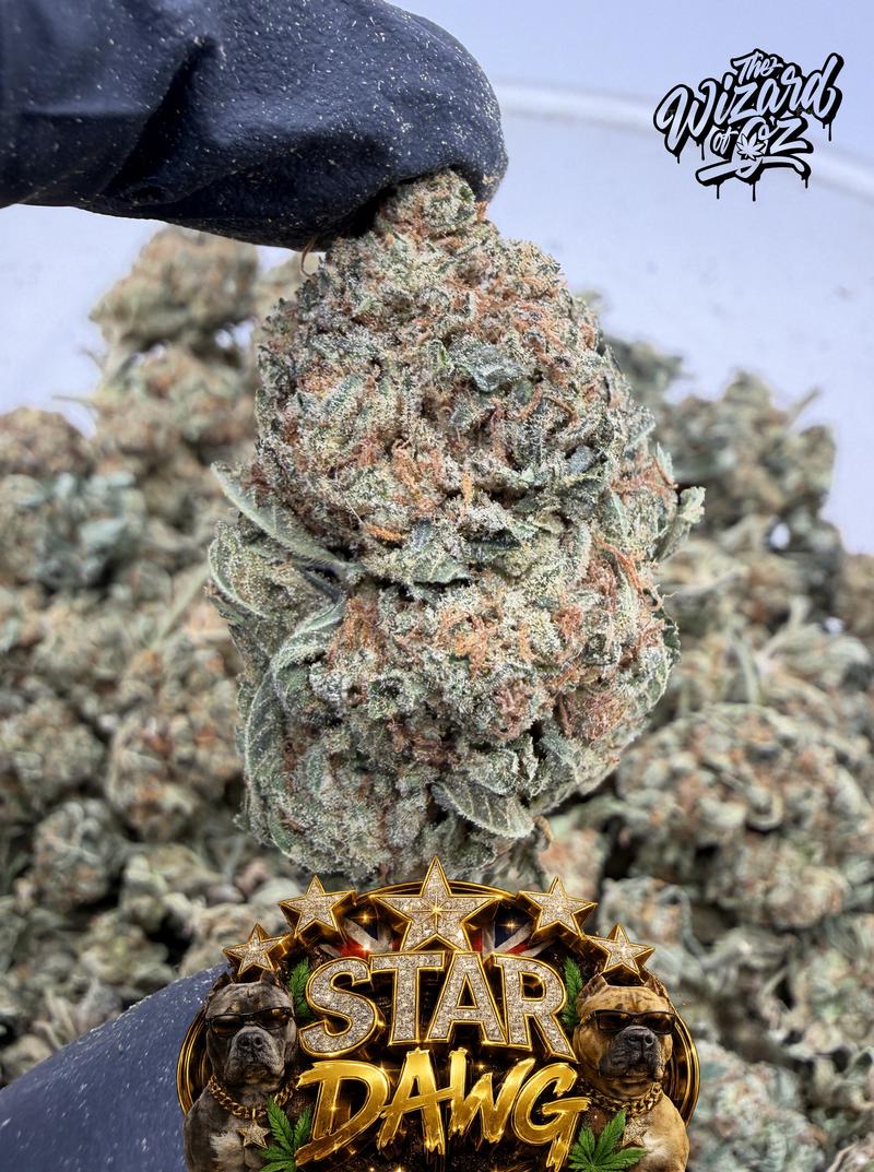 Star Dawg ⛽ 🌟