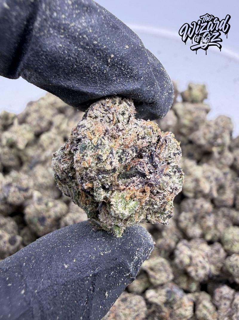 Blue Fuego
