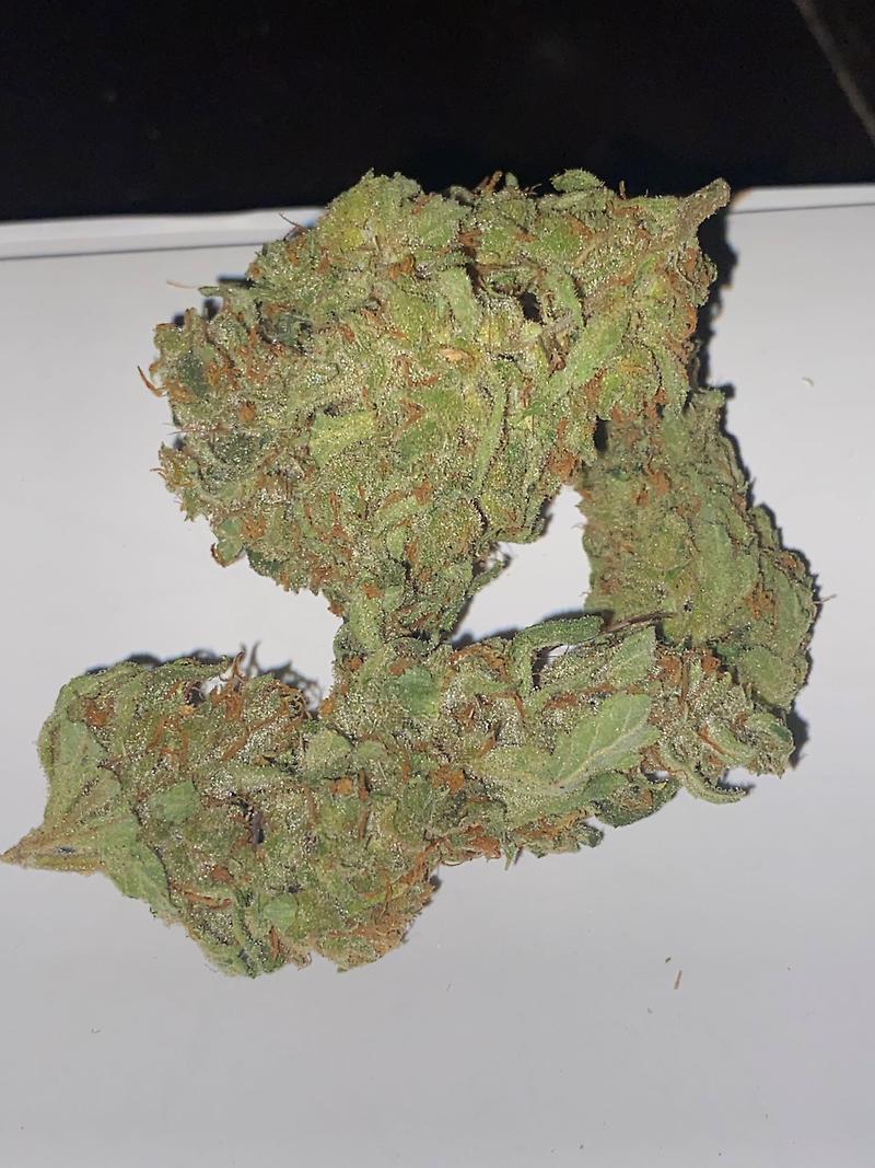 Mango Haze Sativa Dutch Import **FREE 1ST CLASS UK SHIP