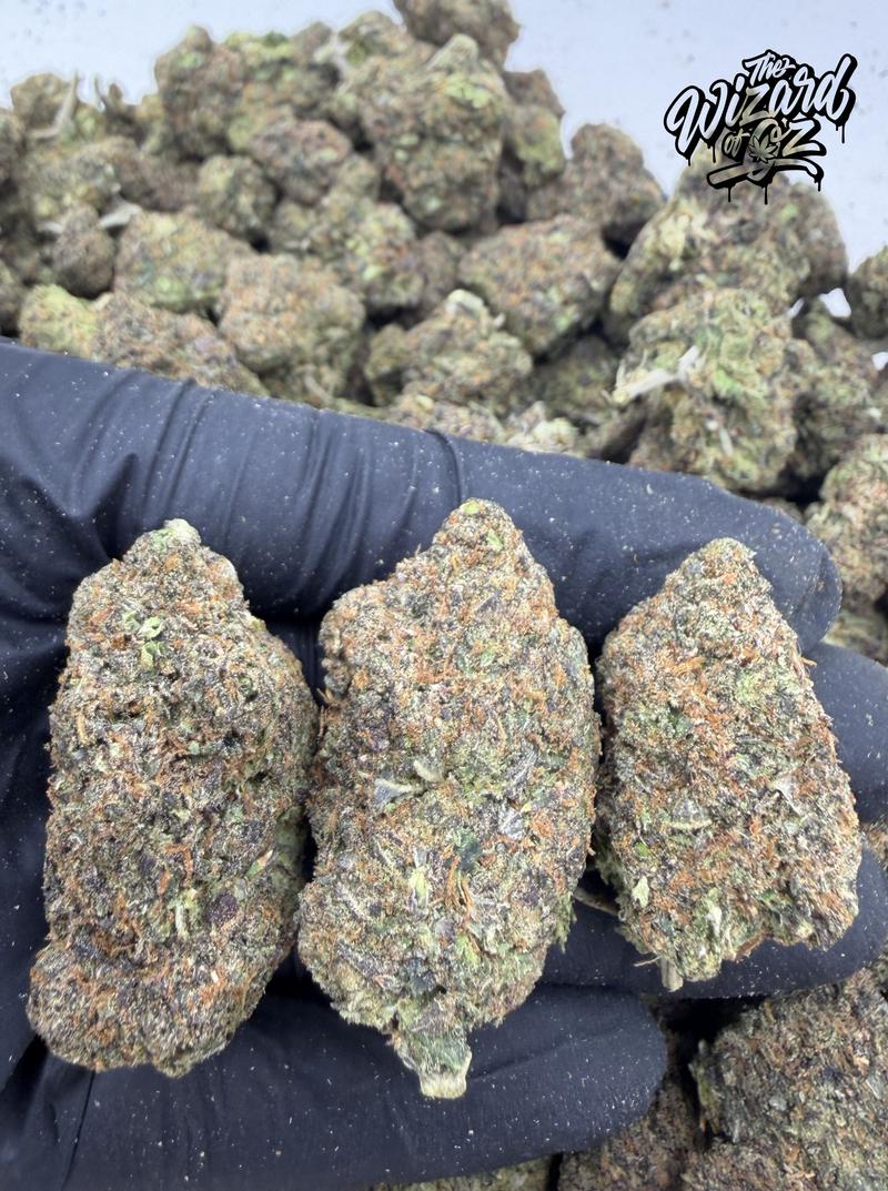 12 Alarm Fire Strain: Zrilla