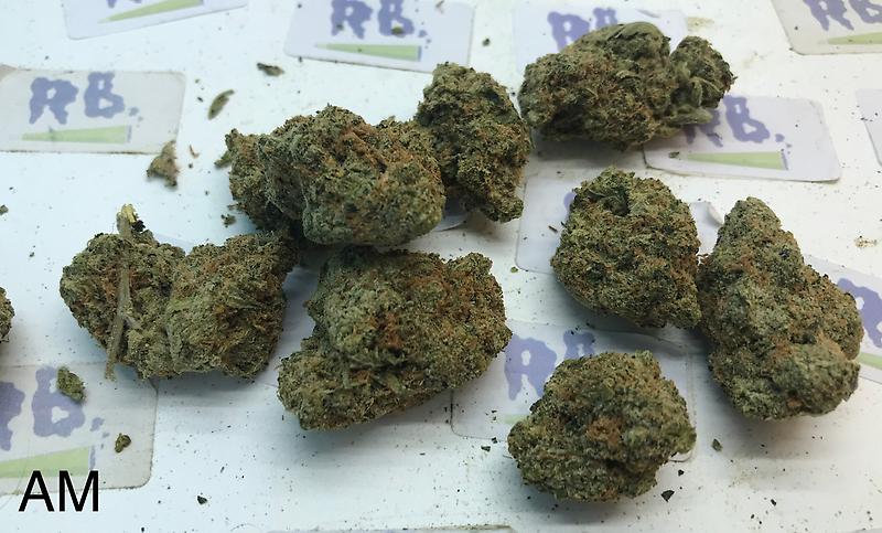 AMNESIA HAZE MID SHELF CALI