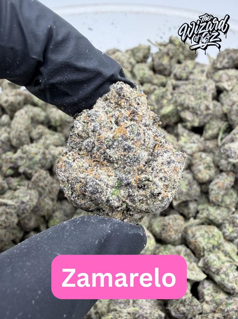 Jungle Boys Strain: Zamarelo