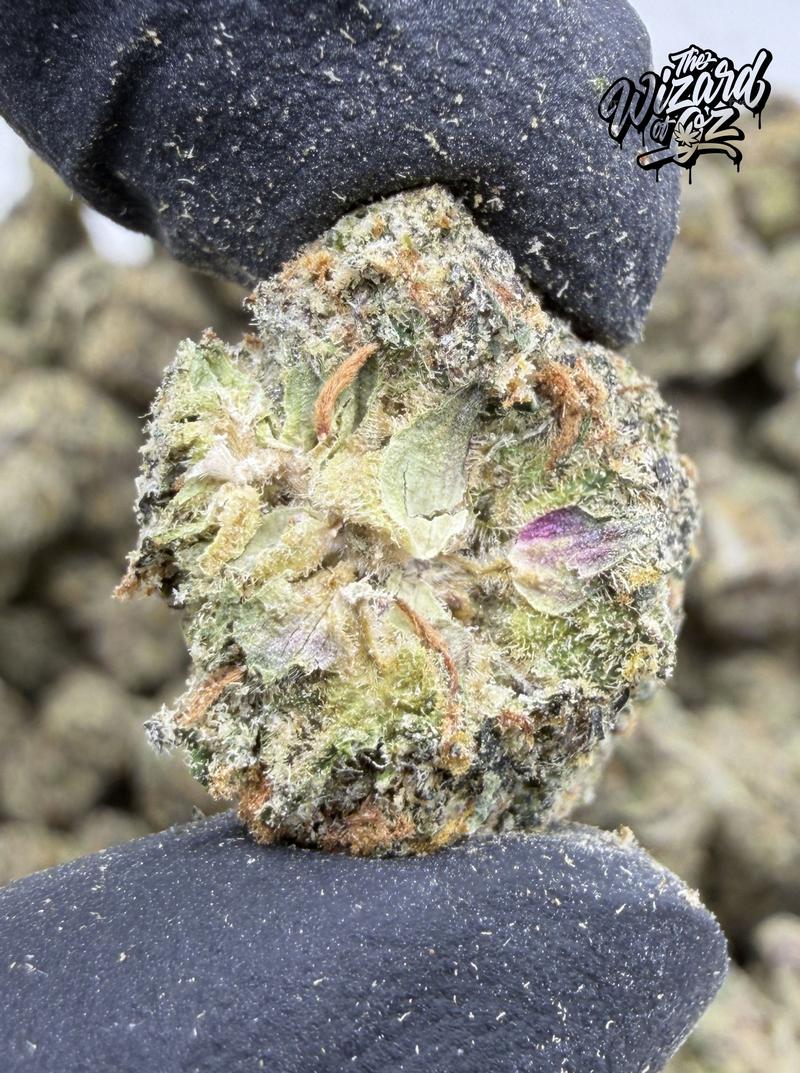 King's Kush
