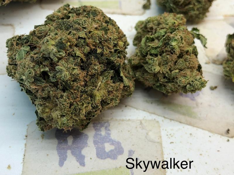 SKYWALKER OG