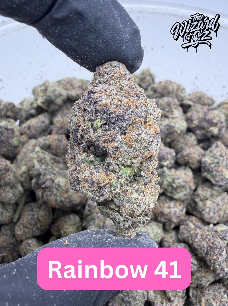 Dope Boyz Strain: Rainbow 41