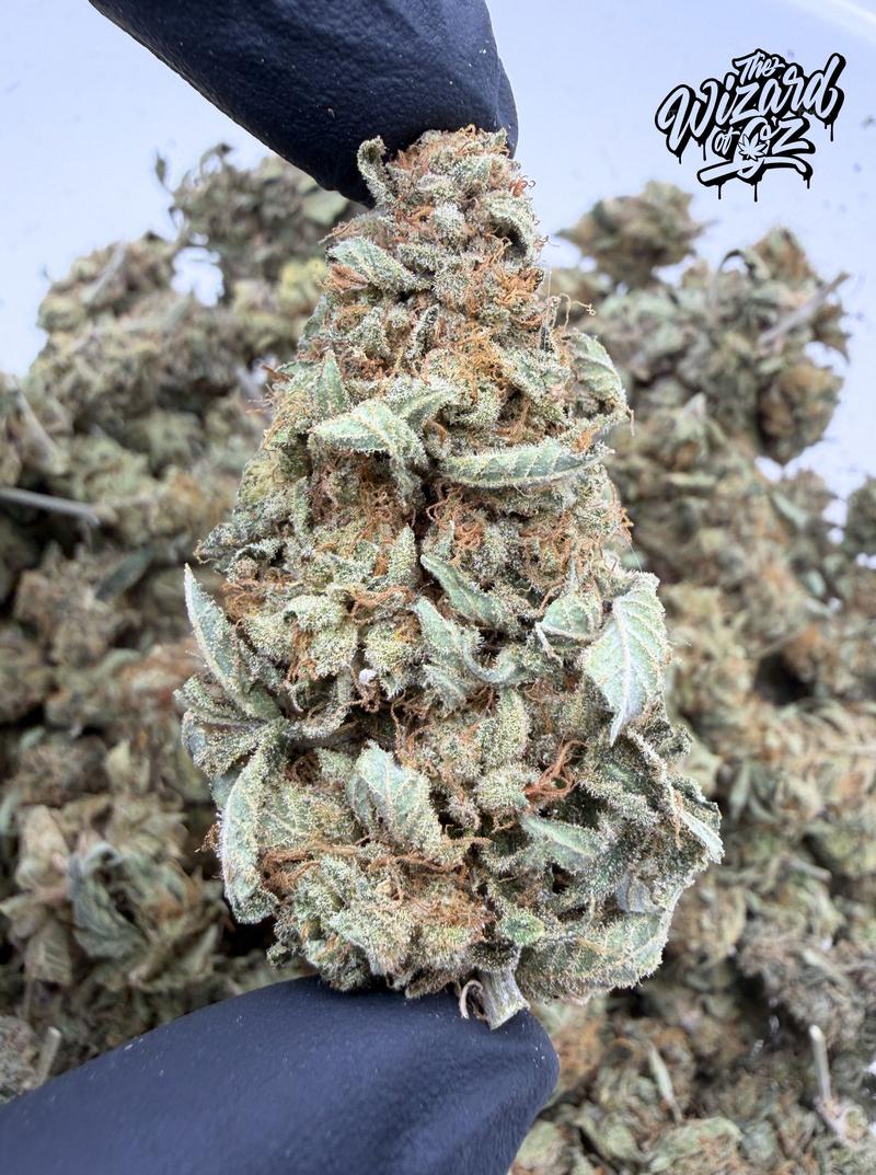 Zkittlez