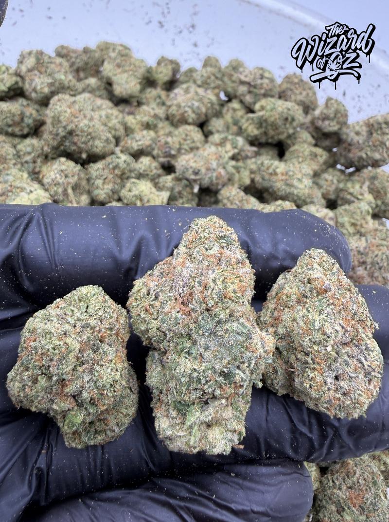 Teds Budz Strain: Tokyo Gumdrop