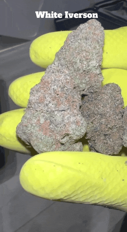 Top Shelf Exotics - Imported Loose Flower