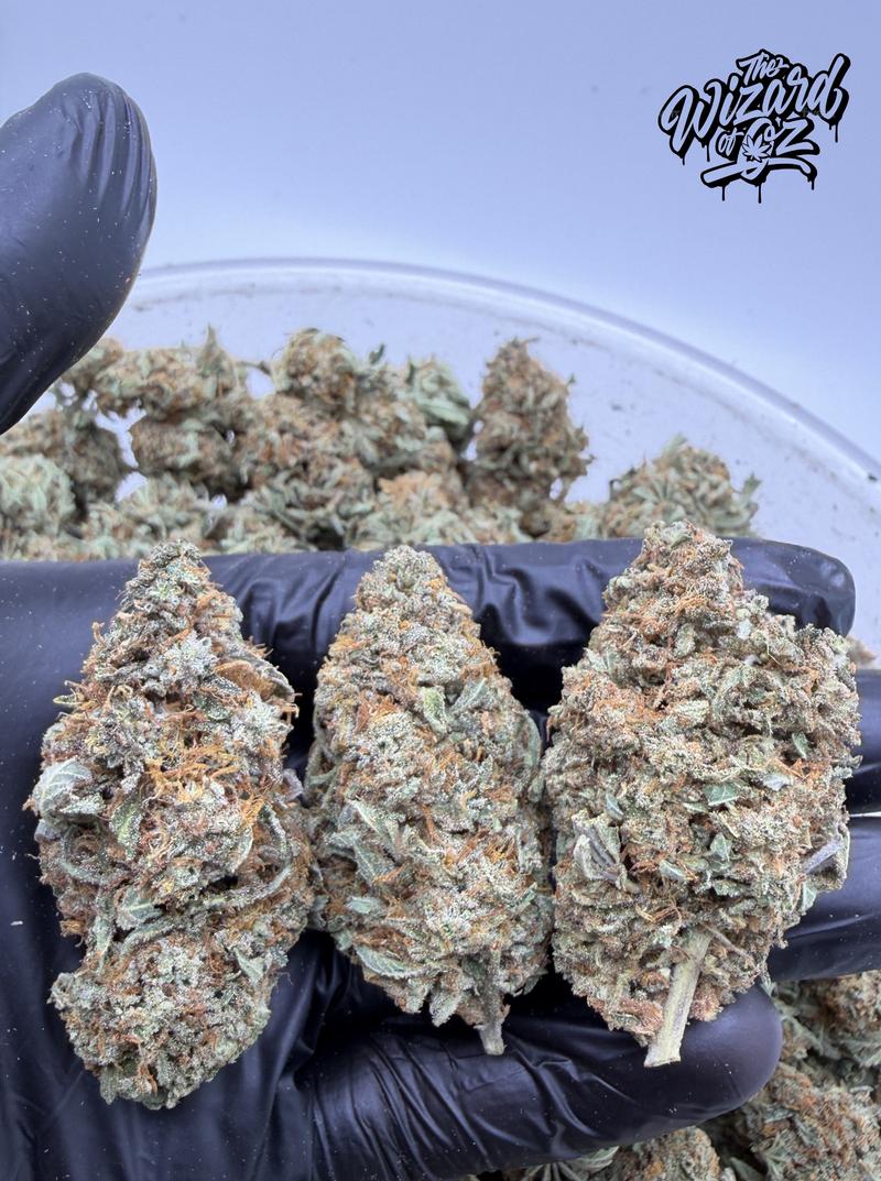 Star Dawg ⛽ 🌟