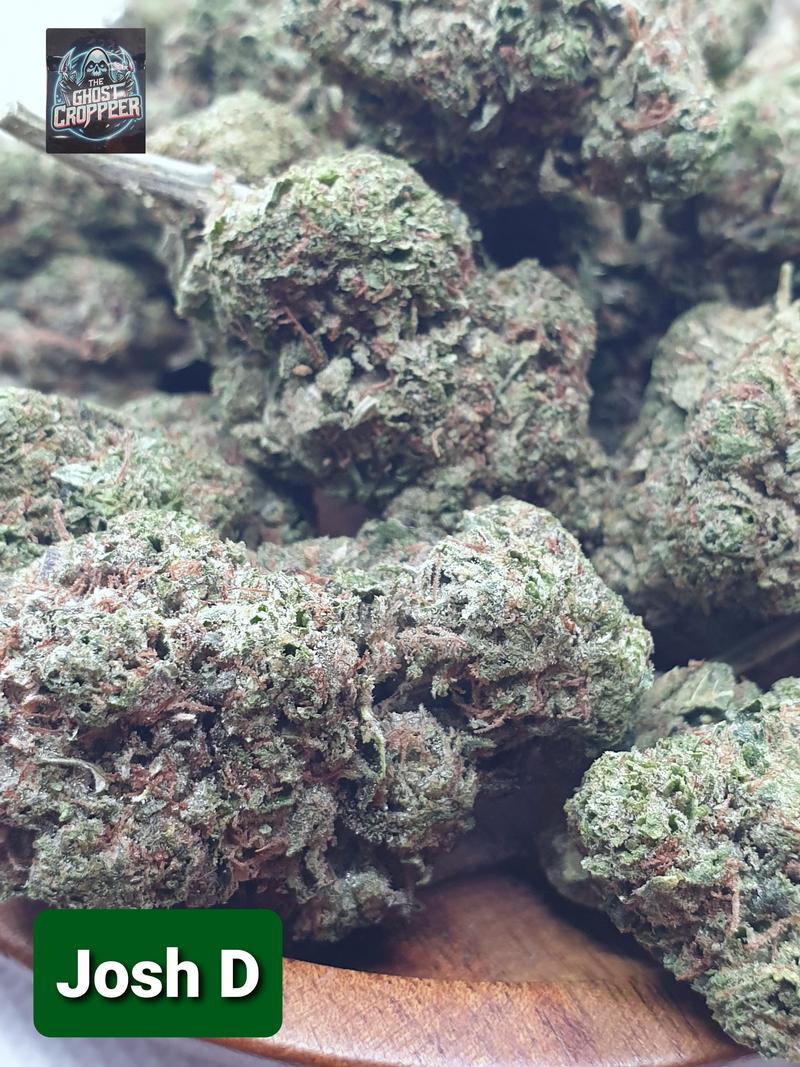 [Exclusive] Top Shelf UK