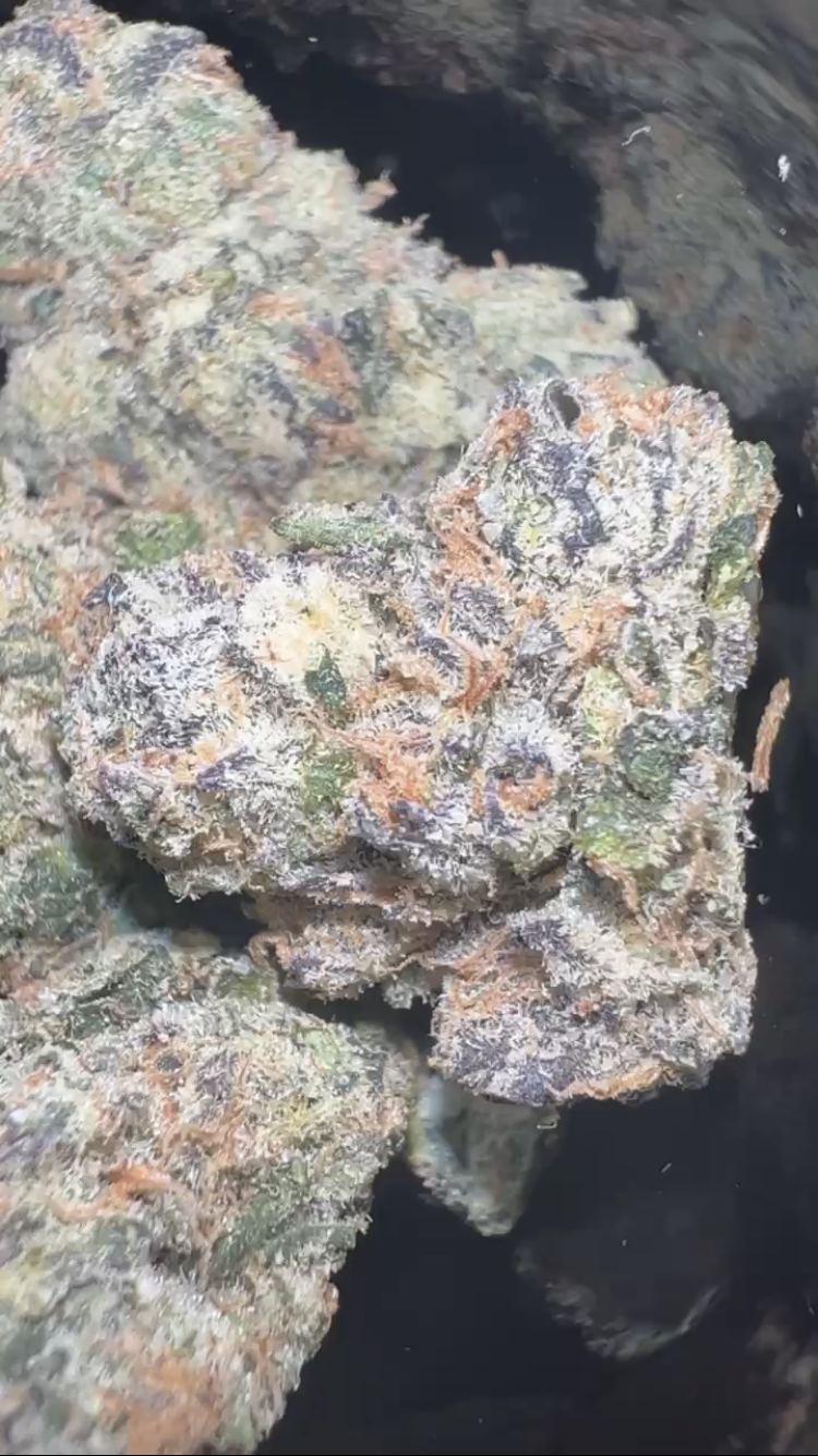 Sweet Retreat by Doja