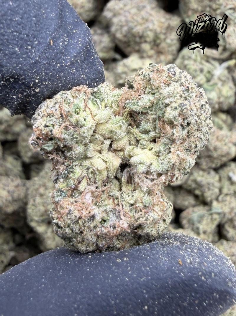 Black Cherry Gushers