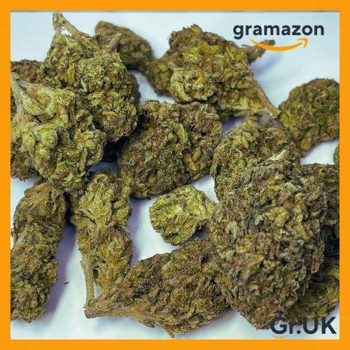 *STAR-DAWG* 20% EXTRA - FREE SHIPPING