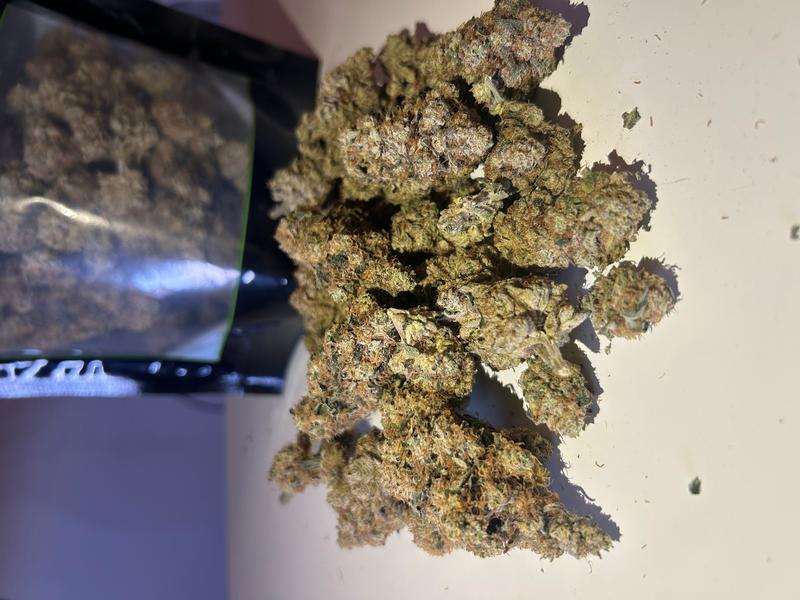 Miami Yayo - Cookies Seedbank