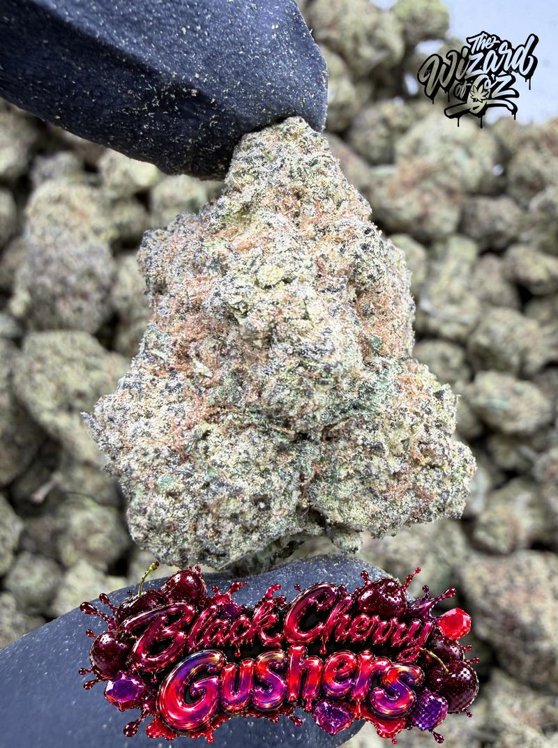 Black Cherry Gushers