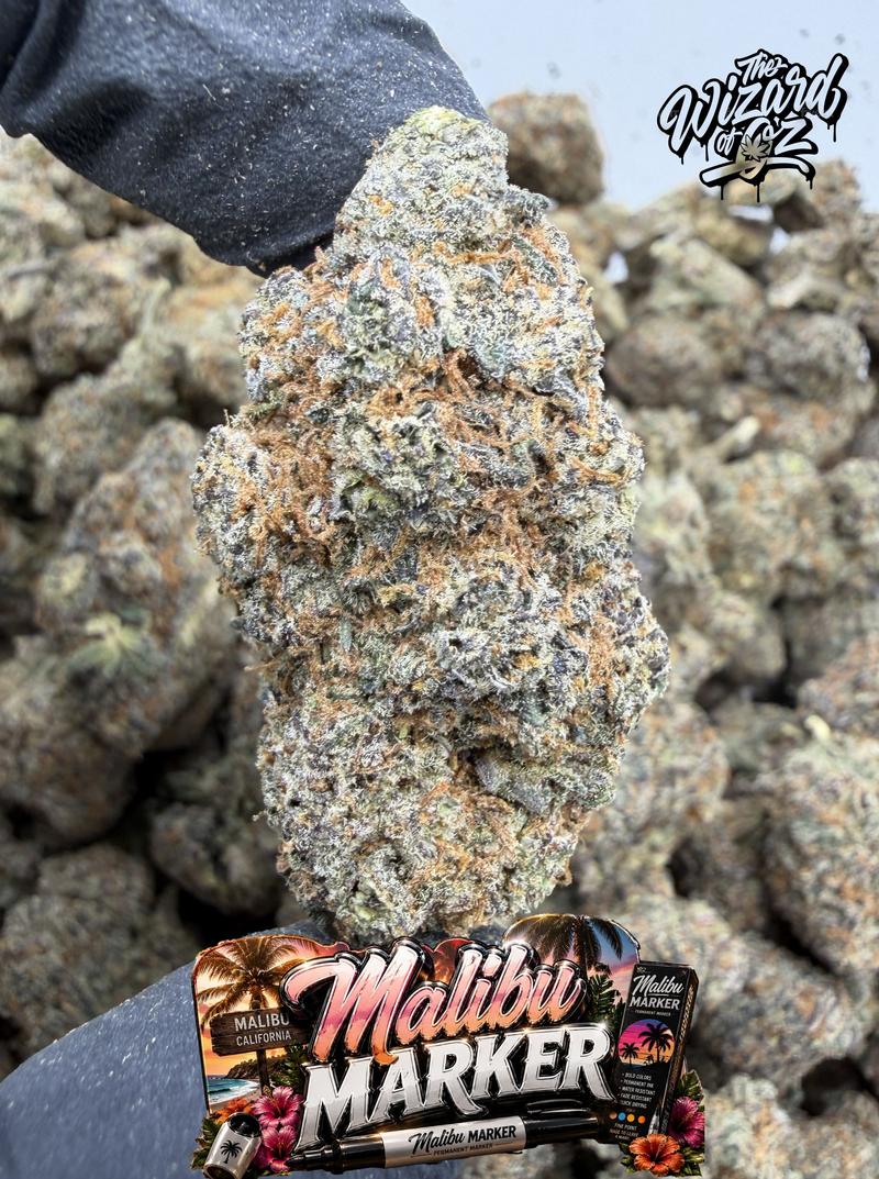 Malibu Marker