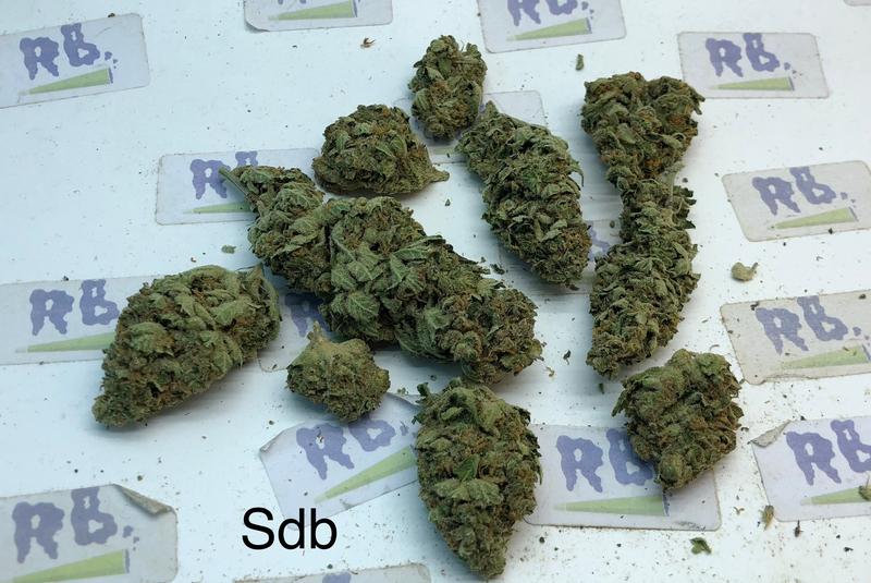 STAR DAWG (GRADE B)