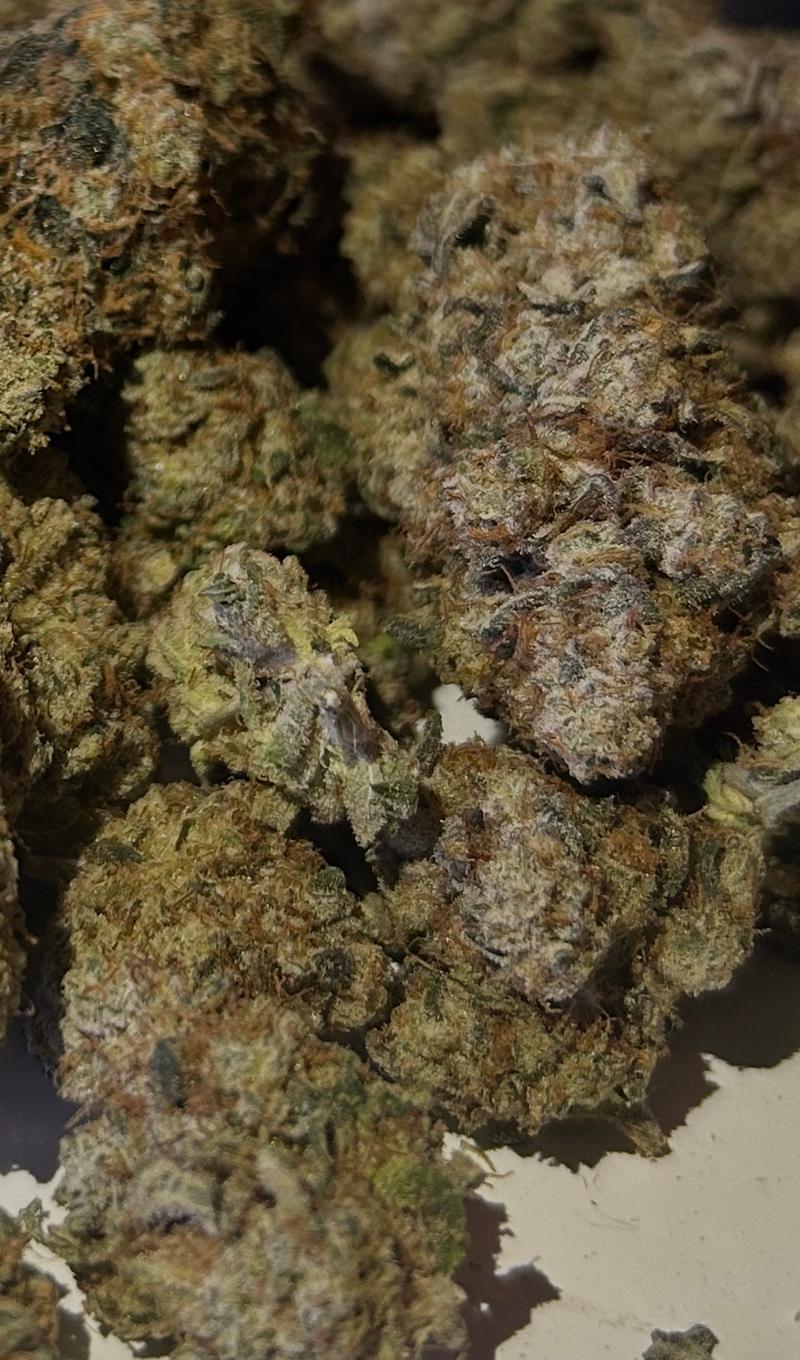 Miami Yayo - Cookies Seedbank