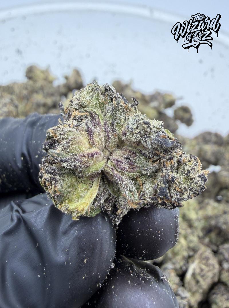 Wizard Trees Strain: Zangbanger