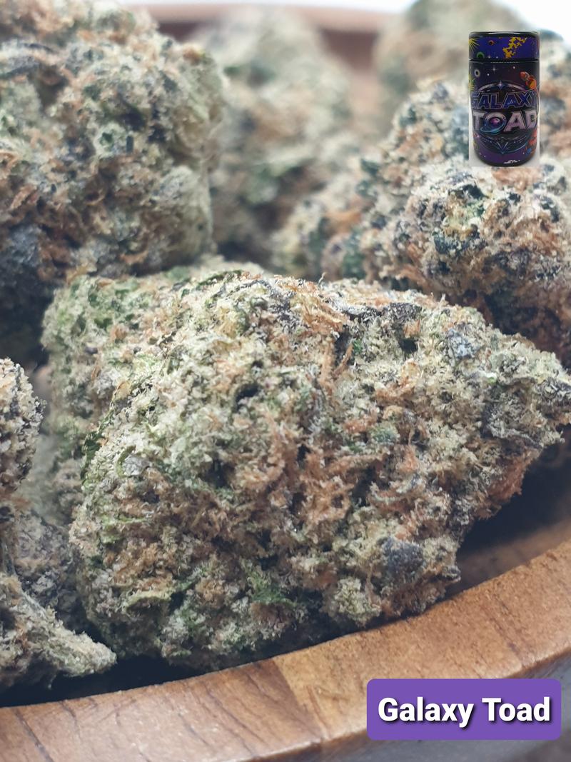 [Exclusive] Top Shelf Cali